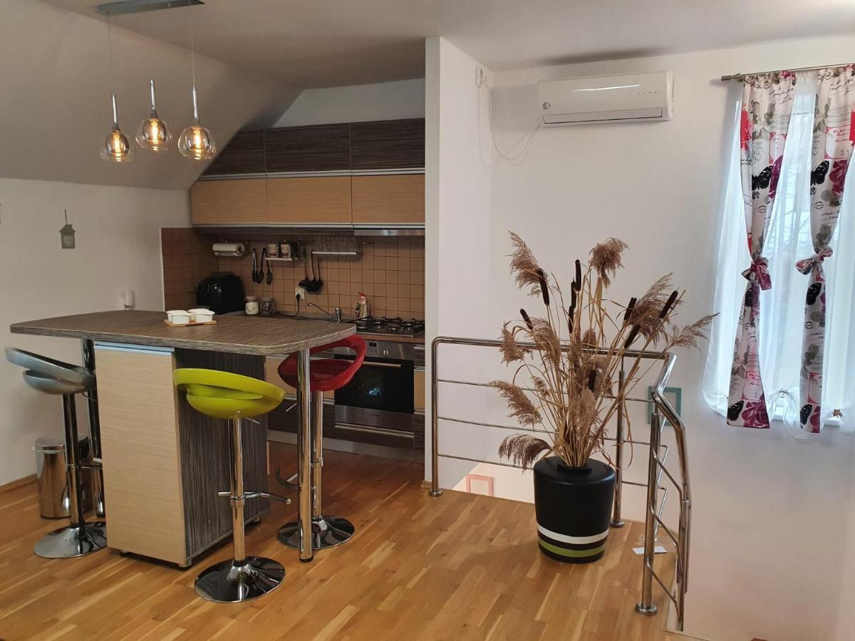 Smiley Apartment Сибиу Екстериор снимка