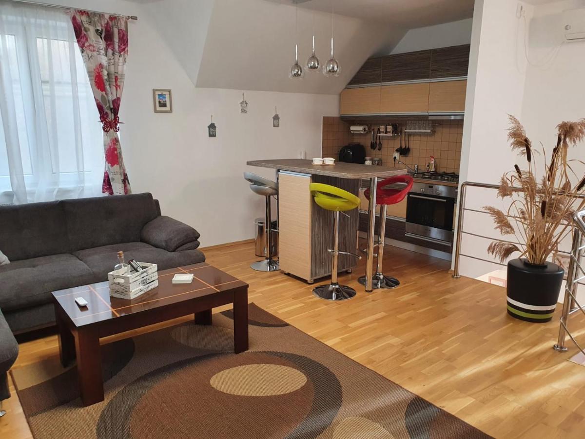 Smiley Apartment Сибиу Екстериор снимка