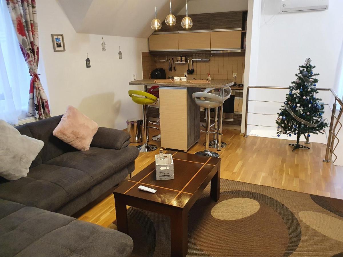 Smiley Apartment Сибиу Екстериор снимка