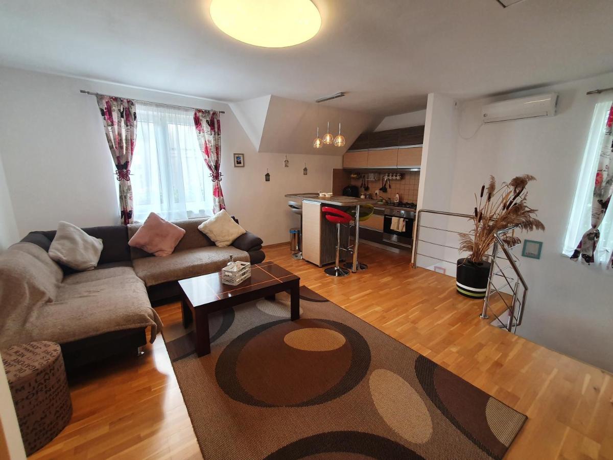 Smiley Apartment Сибиу Екстериор снимка