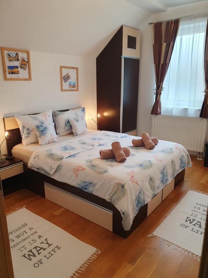 Smiley Apartment Сибиу Екстериор снимка
