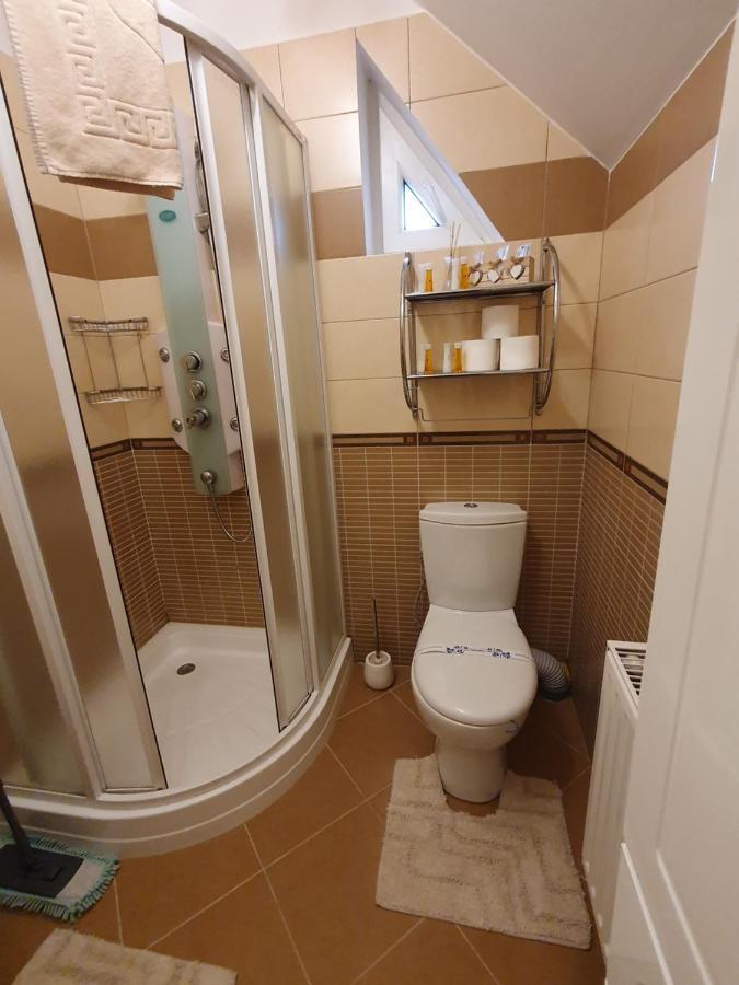 Smiley Apartment Сибиу Екстериор снимка