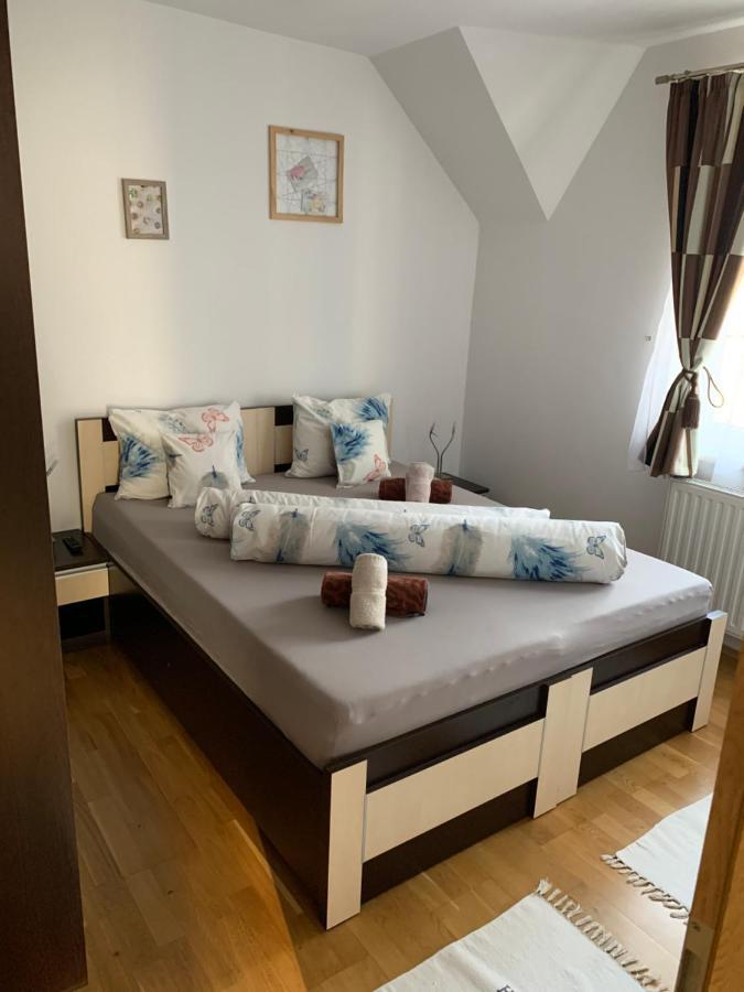 Smiley Apartment Сибиу Екстериор снимка